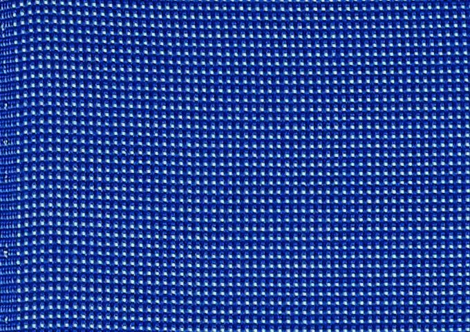 Bengali tonic blue cushion photo 3
